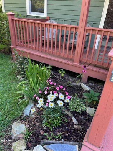 Interior 2, High Ground One Level House - Pet Friendly, Watauga