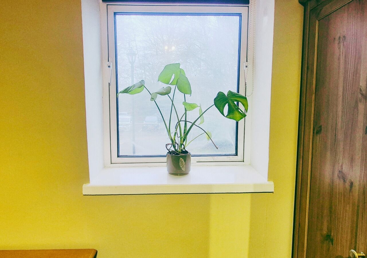 Room 2, Cosy Homely and Quiet Apartment, Nottingham