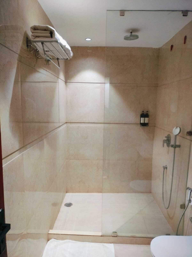Bathroom 4, Hotel Raaj Palace, Agra