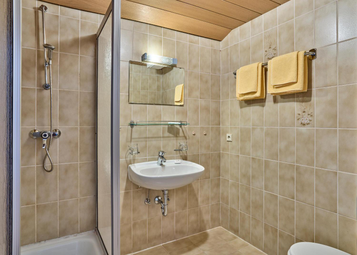 Bathroom 5, Gasthof Genosko, Freyung-Grafenau