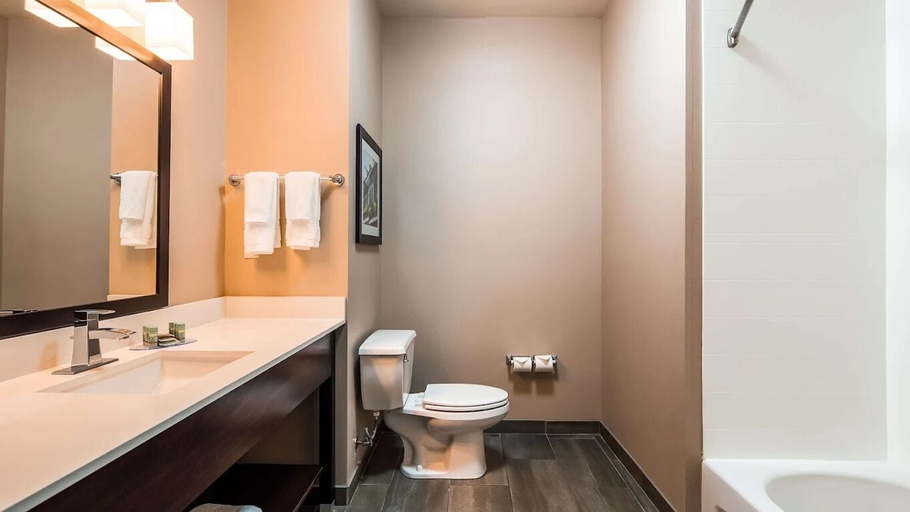 Bathroom 4, Wyndham Garden New Roads / False River, Pointe Coupee