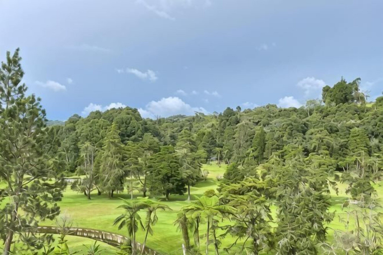 Miscellaneous, PLAY at Iris Resort Tanah Rata, Cameron Highlands