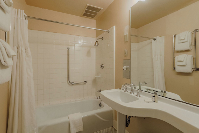 Bathroom 4, Arlington Resort Hotel and Spa, Garland