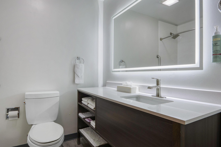 Bathroom 4, Best Western Indian Oak, Porter