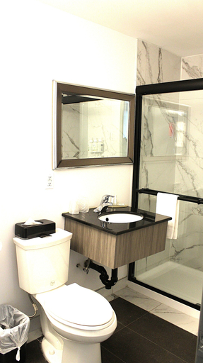 Bathroom 4, Ramada Plaza by Wyndham Montreal, Montréal