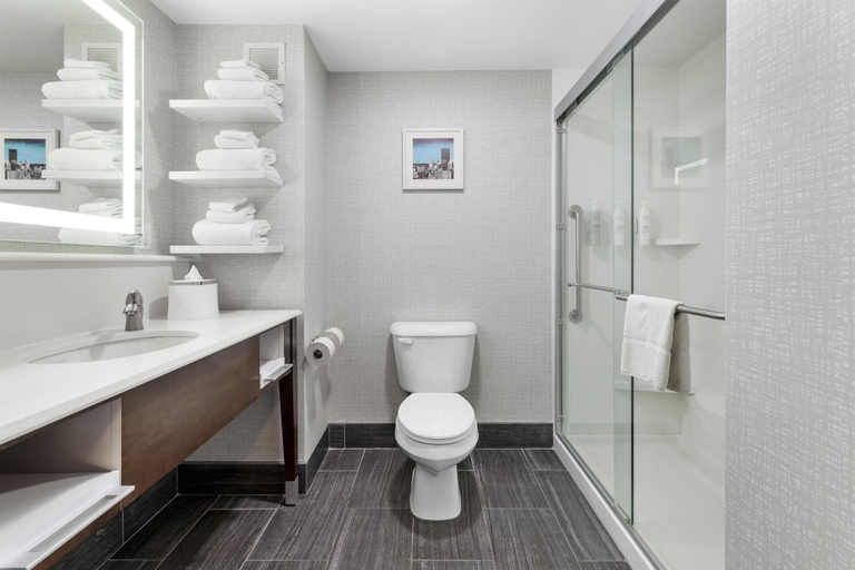 Bathroom 4, Hampton Inn Salem, VA, Roanoke