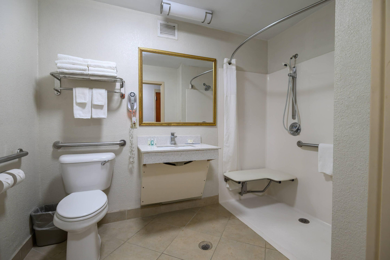Bathroom 5, Quality Inn & Suites Lexington South, Davidson