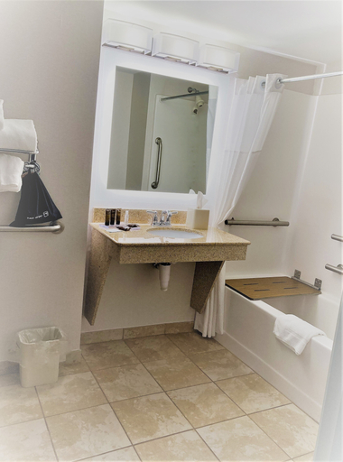 Bathroom 4, Wingate by Wyndham Erie, Erie