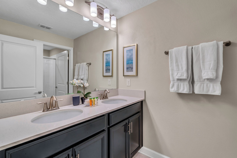 Bathroom 4, Private Pool Themed Bedrooms Free Waterpark!, Osceola