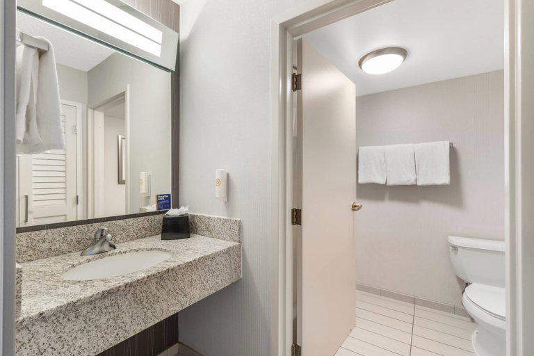 Bathroom 4, Comfort Inn & Suites Bethlehem Lehigh Valley Airport, Lehigh