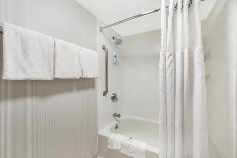 Bathroom 4, Comfort Inn & Suites Bethlehem Lehigh Valley Airport, Lehigh
