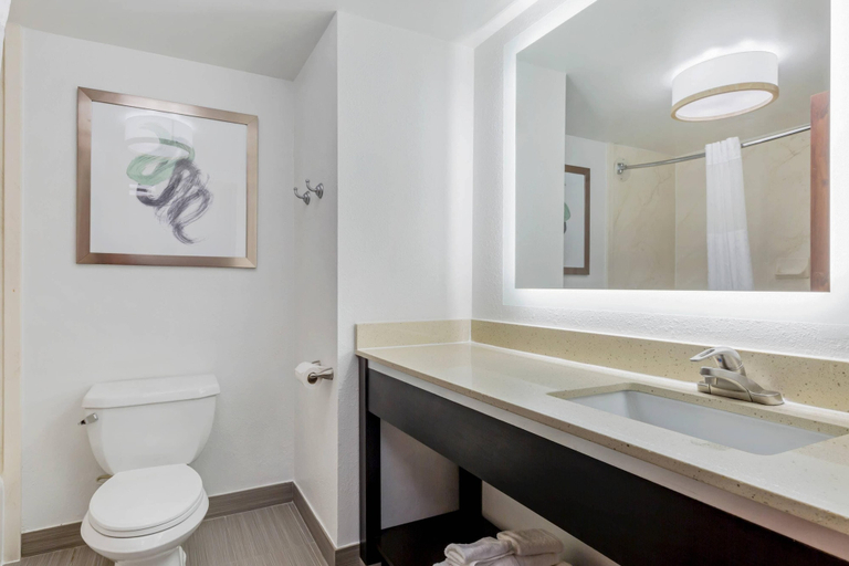 Bathroom 5, Comfort Inn Laurel - Fort Meade, Prince George's