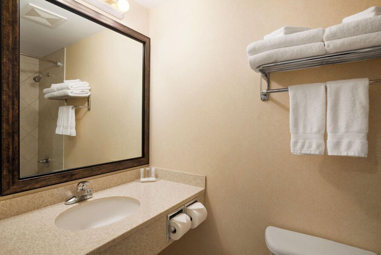 Bathroom 4, Travelodge by Wyndham Strathmore, Division No. 5