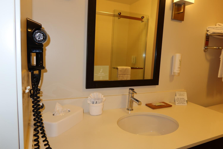 Bathroom 4, Sleep Inn & Suites Oregon - Madison, Dane