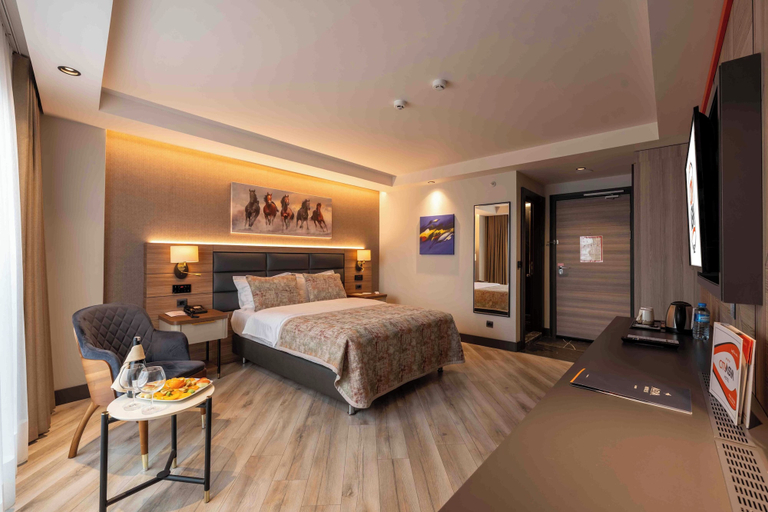 Bedroom 3, CITY ASYA HOTEL, Bandırma