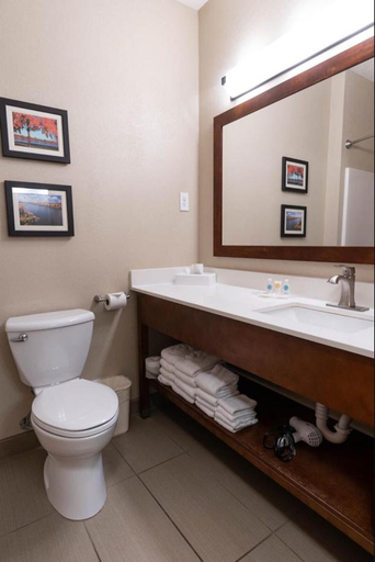 Bathroom 3, Rapid River Lodge, Crow Wing