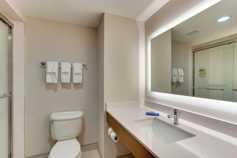 Bathroom 5, Holiday Inn Express & Suites WAXAHACHIE by IHG, Ellis