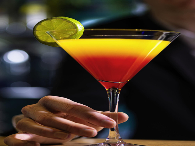 Food & Drinks 5, Ibis Annecy Cran Gevrier Hotel, Haute-Savoie