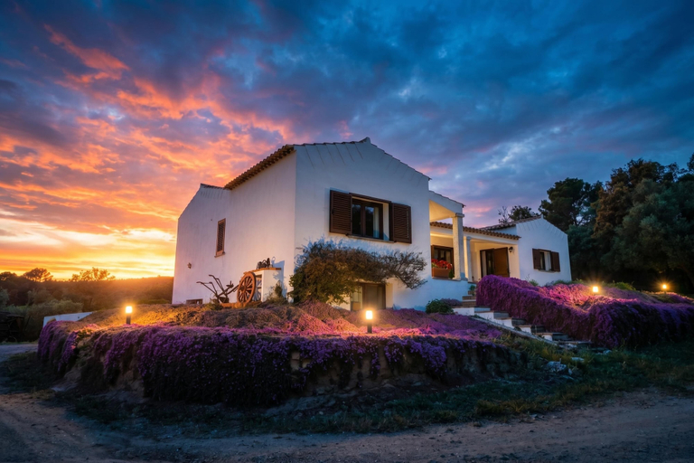 Exterior & Views 2, La Suara Manna, Olbia-Tempio