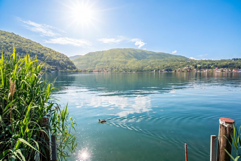 Miscellaneous 3, Al Pontile Di Caslano Lake-view Villa With Garden, Lugano