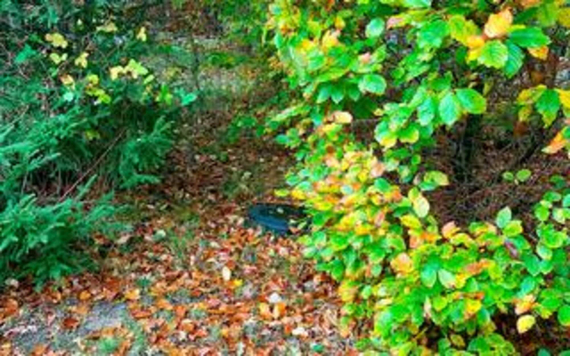 Property grounds 2, 6 Person Holiday Home in Frederiksvaerk, Gribskov