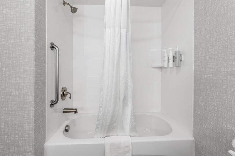 Bathroom 4, Hampton Inn Salem, VA, Roanoke