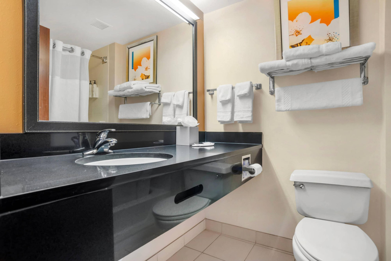 Bathroom 5, Sleep Inn & Suites Pensacola - University Area, Escambia