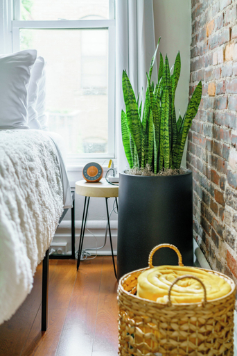 Room 2, Jungle House Boutique Suites – Short North & Convention Center, Franklin