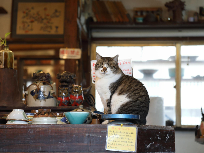 Food & Drinks 4, TOKI NO YADO NAHA by Sunrest Resort, Naha
