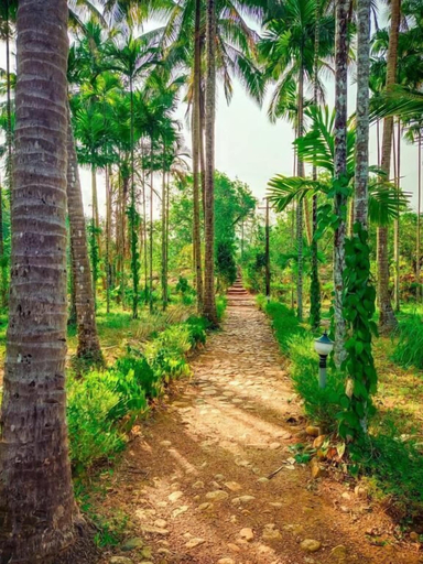 Miscellaneous, Natures Nest Goa, South Goa