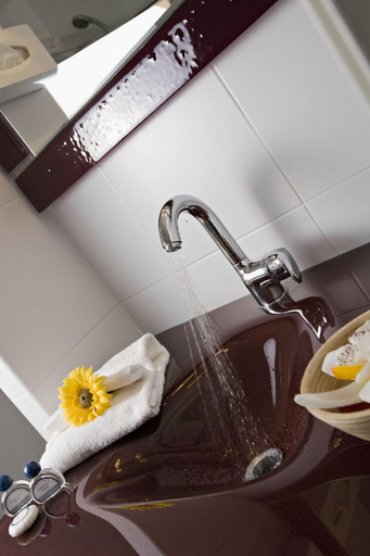 Bathroom 3, Hotel Restaurant Splendid Camargue, Gard