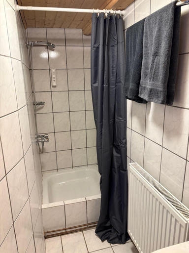 Bathroom, Gasthof Seestern with lake access, Vöcklabruck