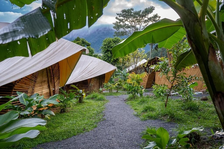 Property grounds 4, Qasa Boutique Hotel and Retreats - LGBTQ, Pérez Zeledón