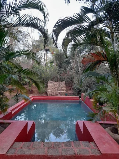 Pool 3, Natures Nest Goa, South Goa