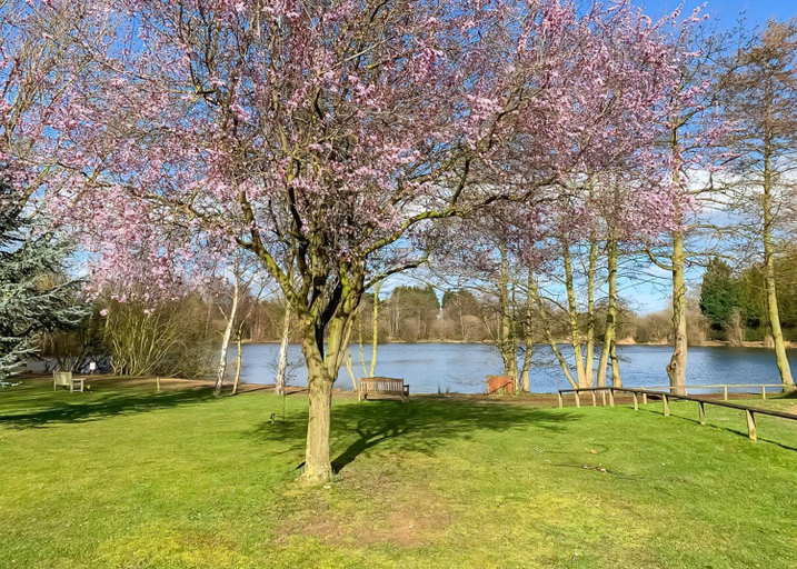 Others 5, Woodland Waters, Lincolnshire