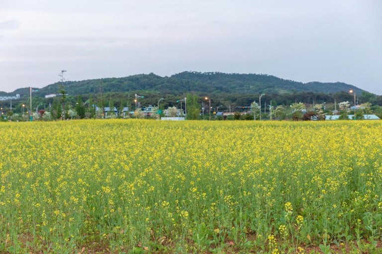 Others 4, Daecheon Winter Sonata Pension, Boryeong