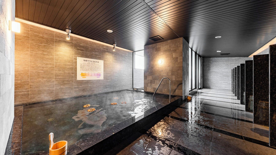 Spa, Super Hotel Premier Chitose, Chitose