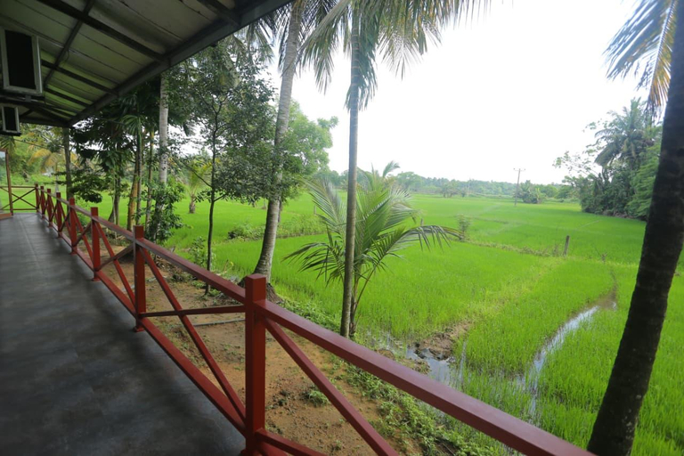 View 3, Serene Rajarata, N. Palatha Central