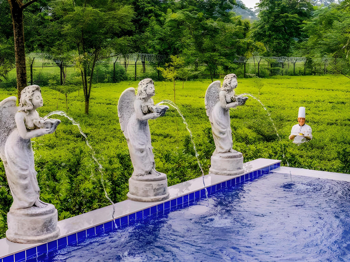 Sport & Beauty 3, MAYFAIR Tea Resort, Darjiling