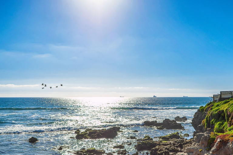 Beach 2, Dog-friendly Ocean-view Retreat With Pool Access Plus Rooftop Deck, AC, Tijuana