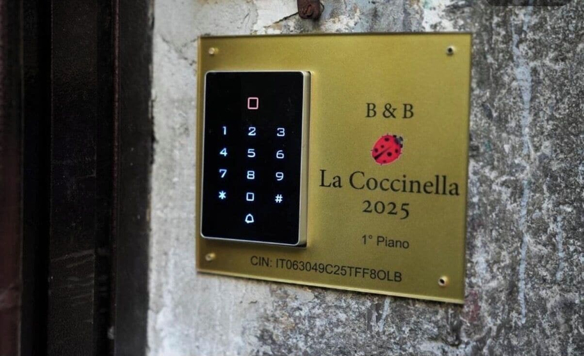 Exterior 2, La coccinella 2025, Napoli