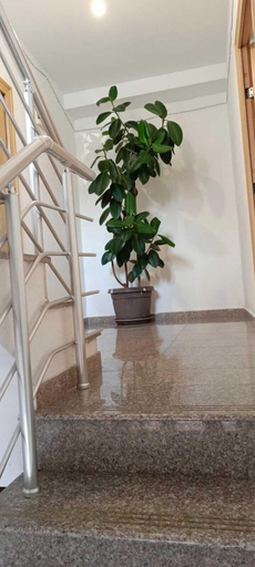 Others 4, Apartmani Kolovic Susanj