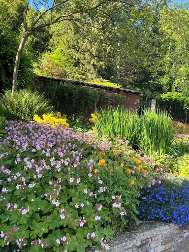 Garden 2, Craigellie, Perthshire and Kinross