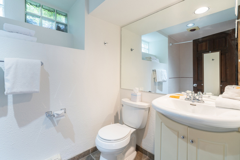 Bathroom 3, Manitou Lodge 4 Hotel Room by Alpine Lodging Telluride, San Miguel