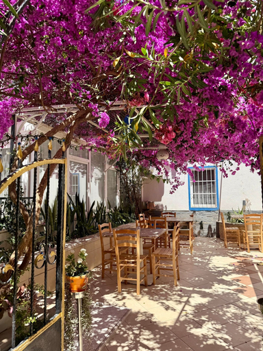Garden 5, Kale Otel Bodrum, Bodrum