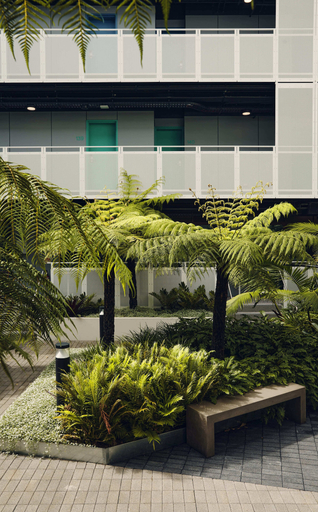 Exterior 5, Scape Darlington, Sydney
