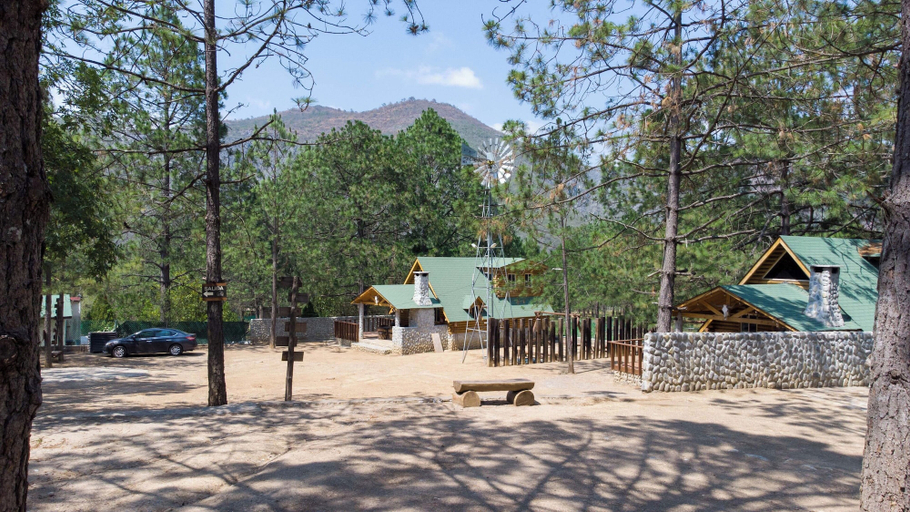 Primary image