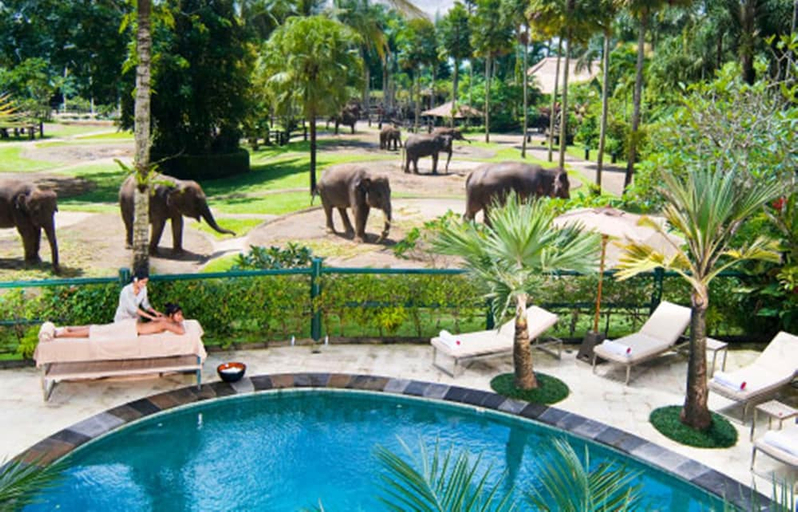 Others 3, Mason Elephant Park & Lodge, Gianyar