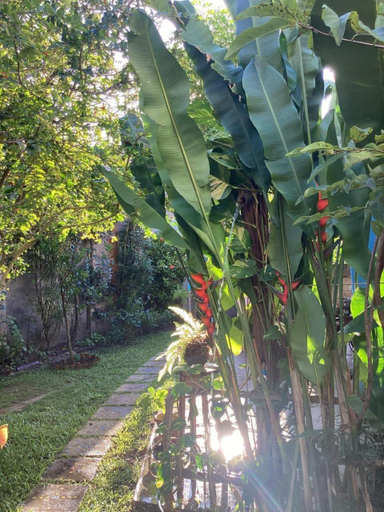 Others 3, Casa Flor da Ilha, Cairu