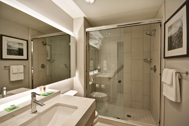 Bathroom 4, Hyatt Place Fresno, Fresno